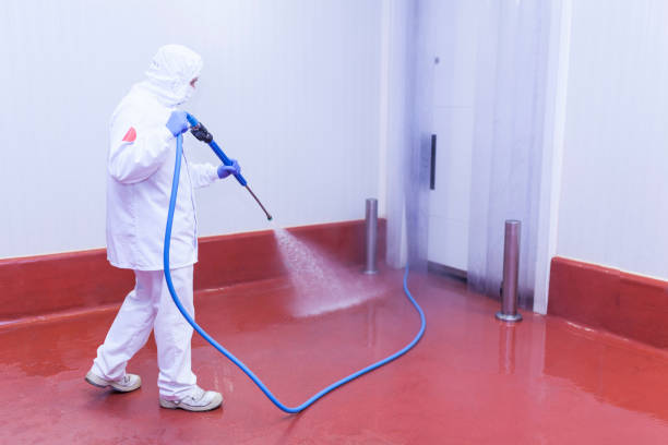 Kelly Ridge, CA Pressure Washing Company